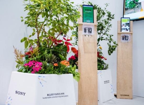 協(xié)生農(nóng)法展示區(qū)