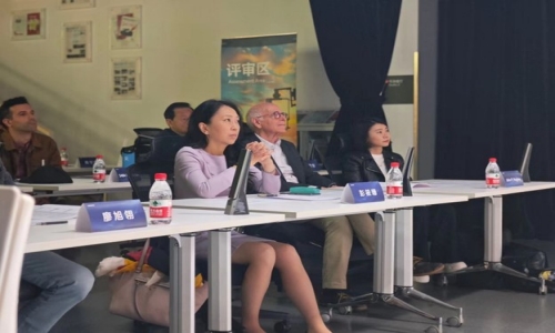 索尼（中國）有限公司電子系統(tǒng)本部 副總裁 彭筱珊女士 
