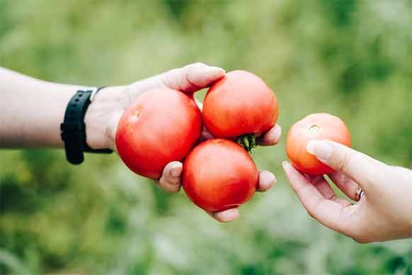 索尼員工啟發(fā)活動【Food for the Future】