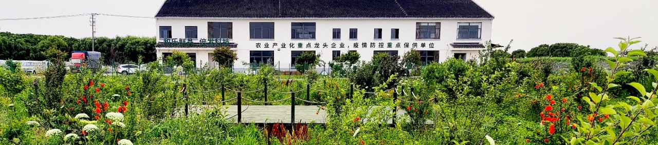 采訪