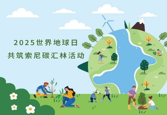 索尼碳匯林