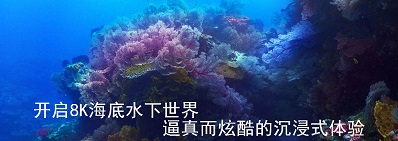 開啟8kK海底水下世界